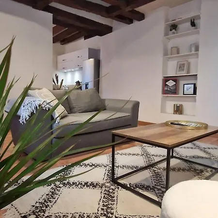 Loft De Charme Hypercentre Apartament