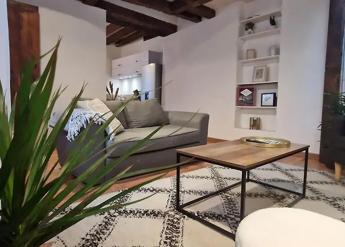 Loft De Charme Hypercentre Apartament